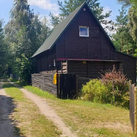 Domki Nad Jeziorem, Las, Do 10 Osob Jezioro Wilczynskie Budzislawskie - Domek Letniskowy Osobno Ogrodzony, Ogrzewany Mile Widziane Pieski, Zwierzeta- Wielkopolska, 62-550 Zygmuntowo Gm Wilczyn Extérieur photo
