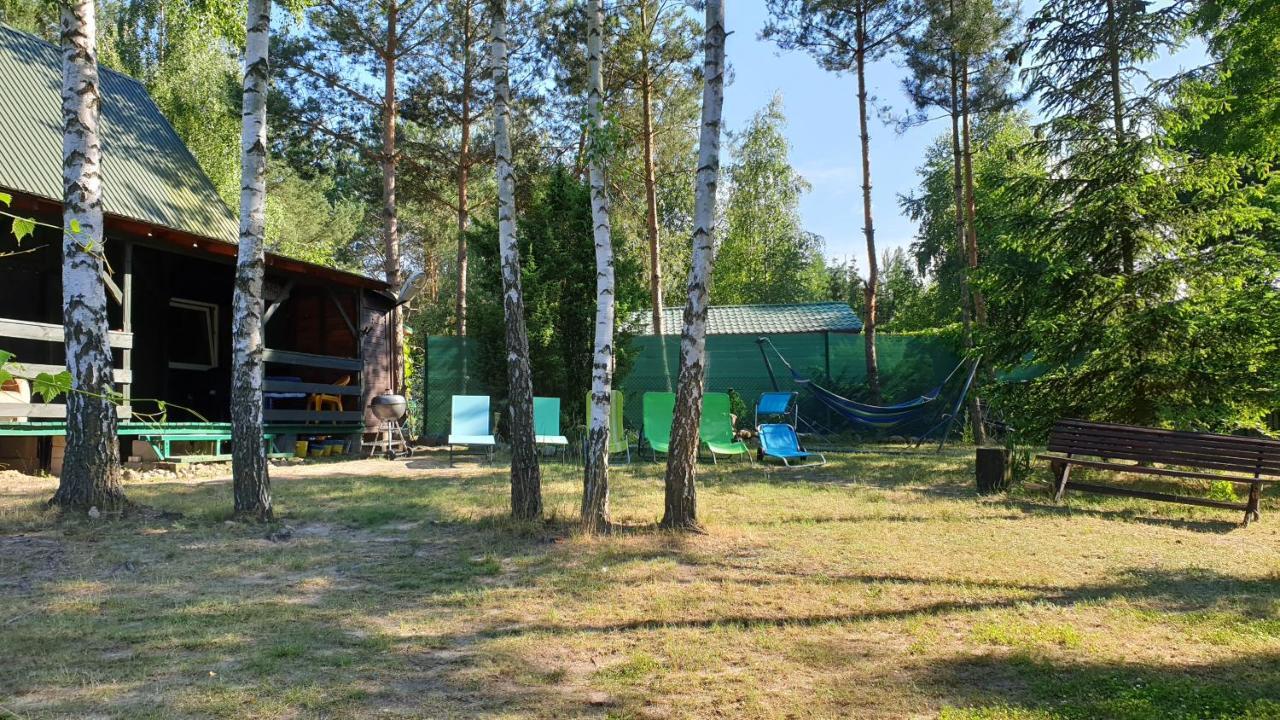Domki Nad Jeziorem, Las, Do 10 Osob Jezioro Wilczynskie Budzislawskie - Domek Letniskowy Osobno Ogrodzony, Ogrzewany Mile Widziane Pieski, Zwierzeta- Wielkopolska, 62-550 Zygmuntowo Gm Wilczyn Extérieur photo