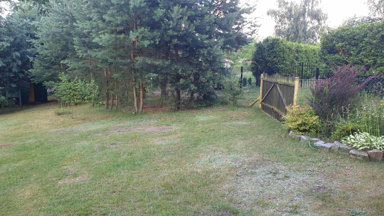 Domki Nad Jeziorem, Las, Do 10 Osob Jezioro Wilczynskie Budzislawskie - Domek Letniskowy Osobno Ogrodzony, Ogrzewany Mile Widziane Pieski, Zwierzeta- Wielkopolska, 62-550 Zygmuntowo Gm Wilczyn Extérieur photo