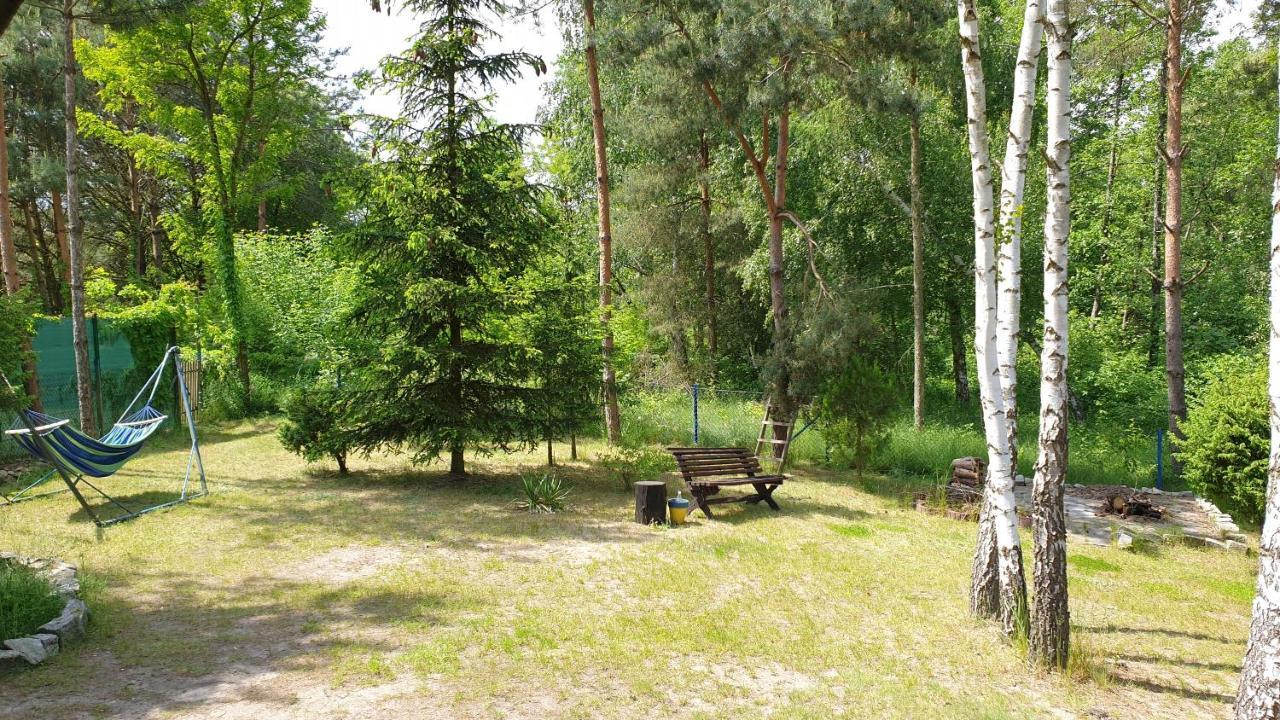 Domki Nad Jeziorem, Las, Do 10 Osob Jezioro Wilczynskie Budzislawskie - Domek Letniskowy Osobno Ogrodzony, Ogrzewany Mile Widziane Pieski, Zwierzeta- Wielkopolska, 62-550 Zygmuntowo Gm Wilczyn Extérieur photo