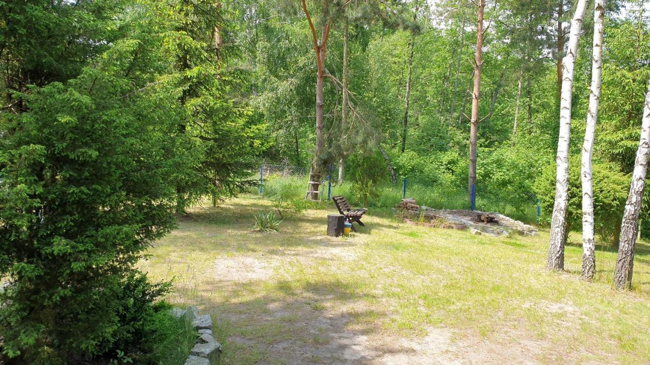Domki Nad Jeziorem, Las, Do 10 Osob Jezioro Wilczynskie Budzislawskie - Domek Letniskowy Osobno Ogrodzony, Ogrzewany Mile Widziane Pieski, Zwierzeta- Wielkopolska, 62-550 Zygmuntowo Gm Wilczyn Extérieur photo