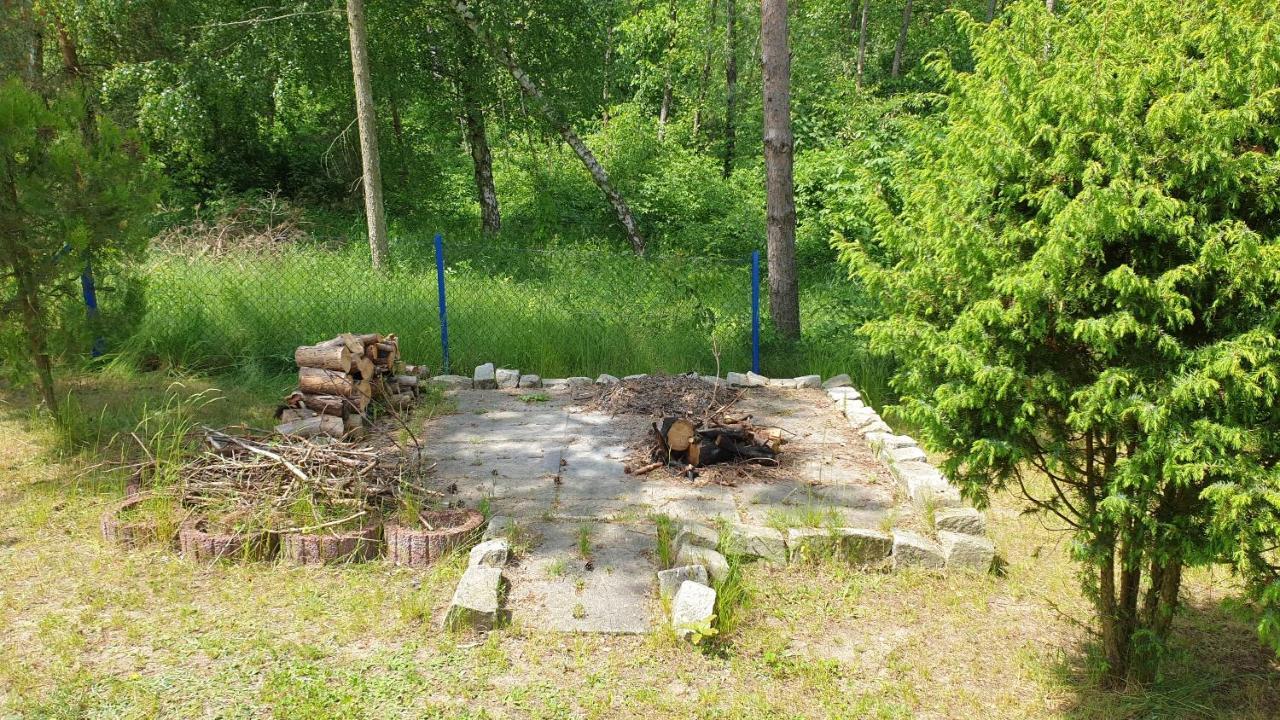 Domki Nad Jeziorem, Las, Do 10 Osob Jezioro Wilczynskie Budzislawskie - Domek Letniskowy Osobno Ogrodzony, Ogrzewany Mile Widziane Pieski, Zwierzeta- Wielkopolska, 62-550 Zygmuntowo Gm Wilczyn Extérieur photo