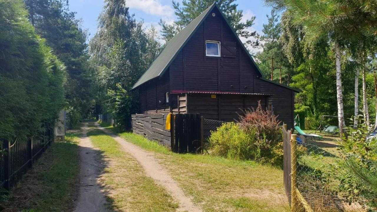 Domki Nad Jeziorem, Las, Do 10 Osob Jezioro Wilczynskie Budzislawskie - Domek Letniskowy Osobno Ogrodzony, Ogrzewany Mile Widziane Pieski, Zwierzeta- Wielkopolska, 62-550 Zygmuntowo Gm Wilczyn Extérieur photo